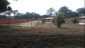 Preparação de terrenos para plantação e sementeiras